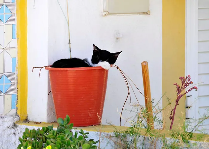 Serenidade 3 Bedrooms Tennis Court Countryside Location Barcelos