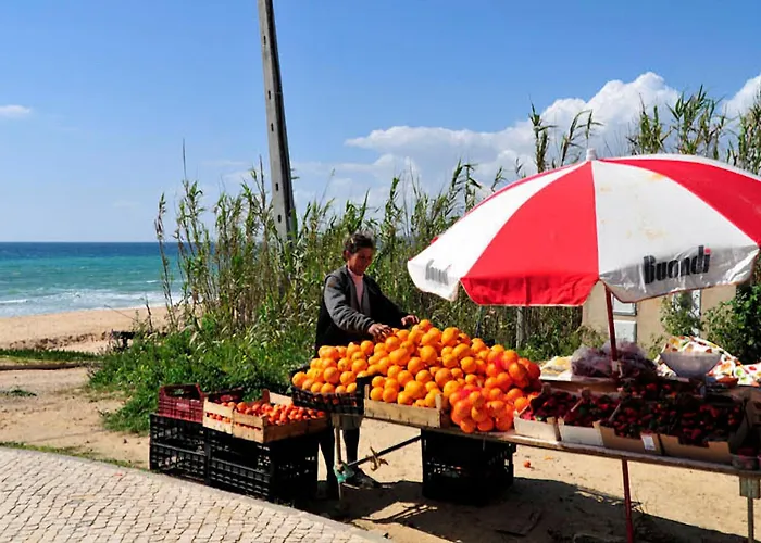 Serenidade 3 Bedrooms Tennis Court Countryside Location Villa *