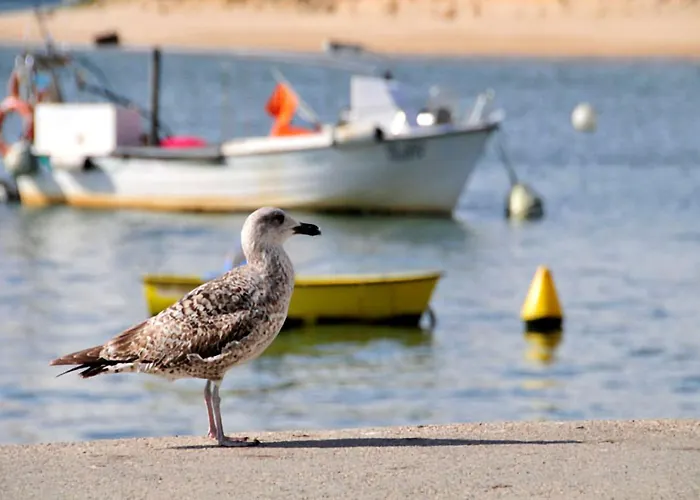 Villa Serenidade 3 Bedrooms Tennis Court Countryside Location